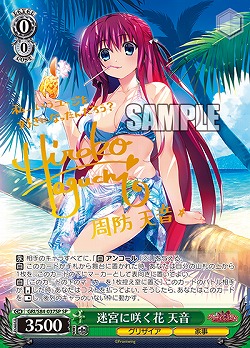 ※浜松店併用品商品【キズ有り特価B】 迷宮に咲く花 天音(SP) 【GRI-S84-037SPSP】